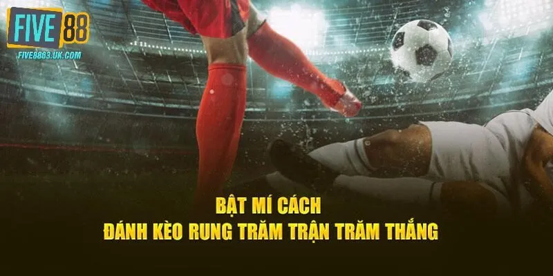 Mẹo dự đoán Running Ball 99% thắng cuộc theo cao thủ